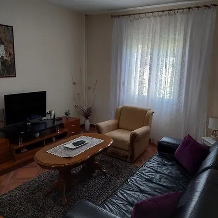 Apartment Helena Airport 1 דירה פודגוריצה