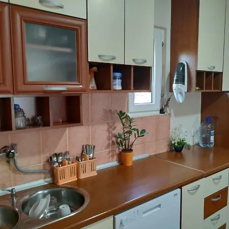 Apartment Helena Airport 1 דירה *